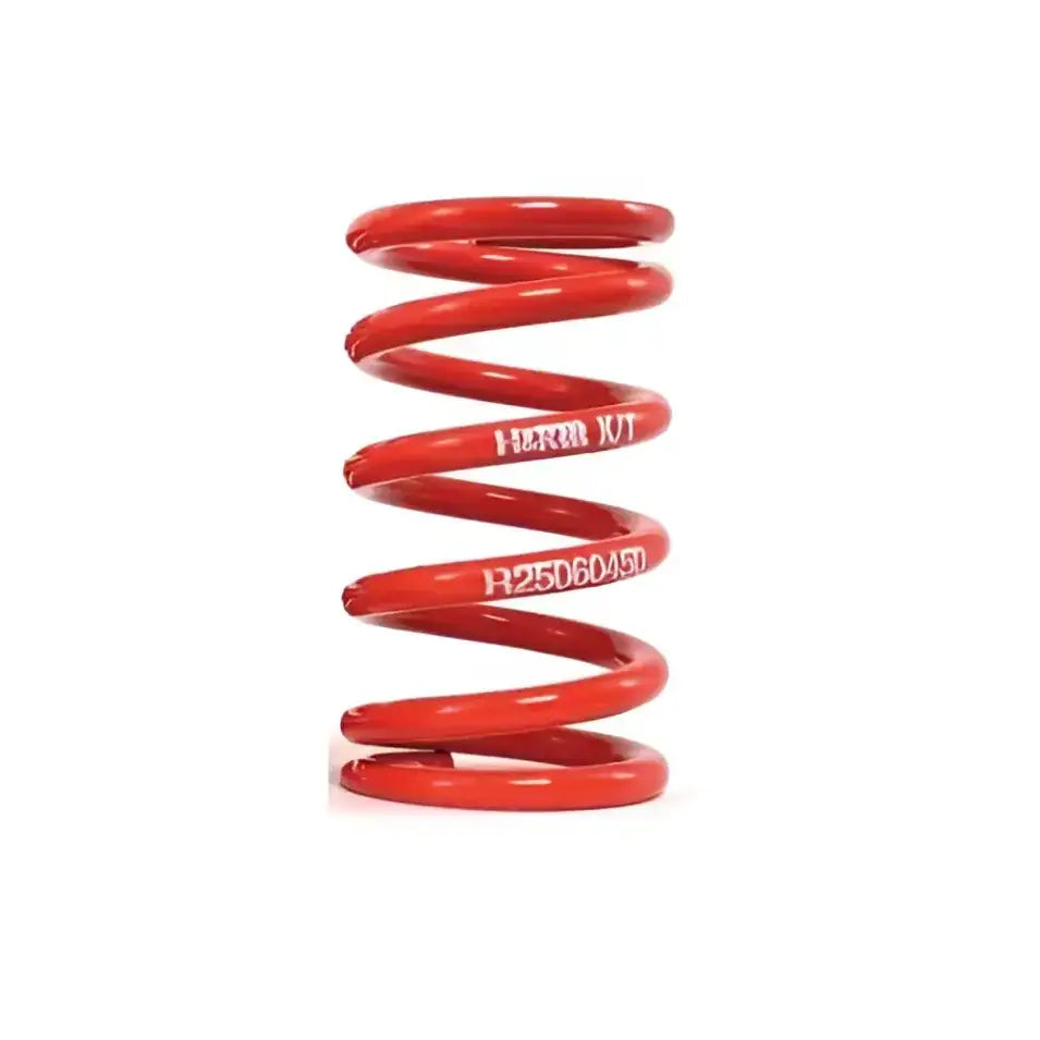 R25100100 Coil Spring