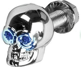 H040079 Lighted Skull Lic Plate Screw Blue