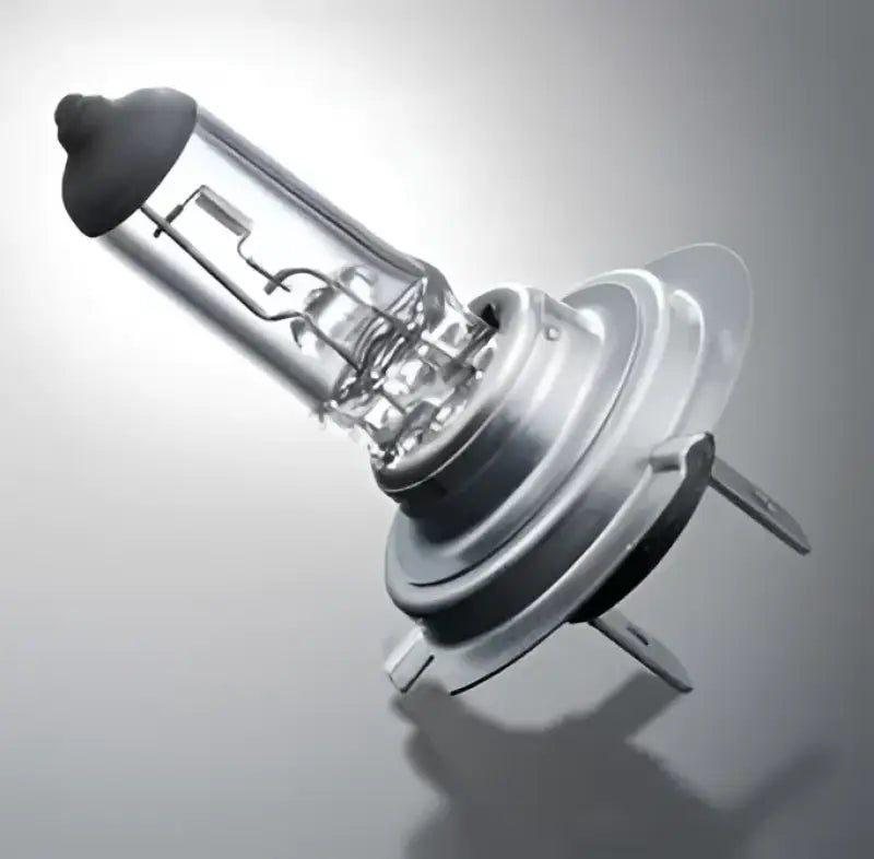 H1 24V Headlight Bulb