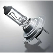 H1 24V Headlight Bulb