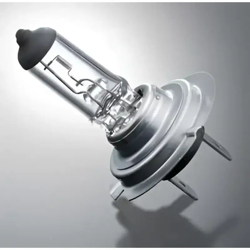 H1 24V Headlight Bulb