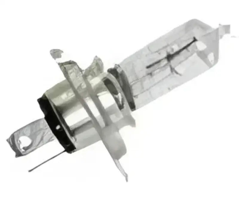H4P50 Headlight Bulb