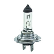 H7 24V Headlight Bulb