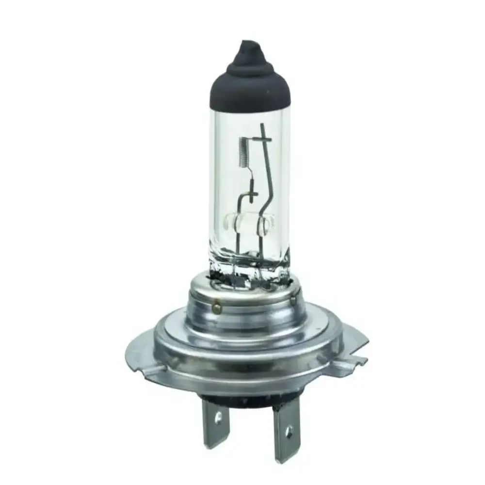 H7 24V Headlight Bulb