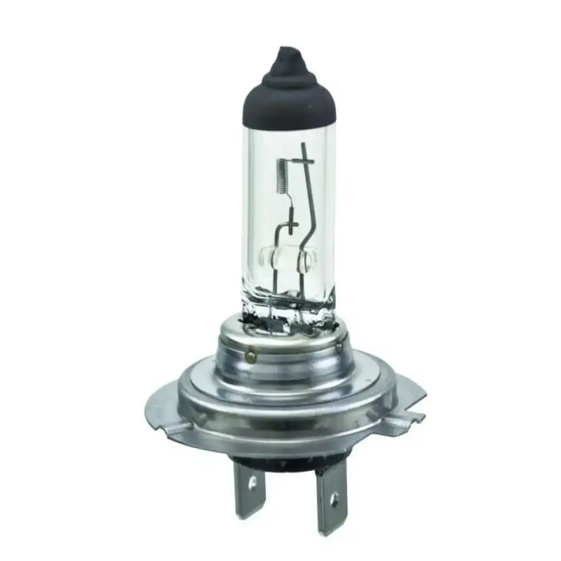 H7 24V Headlight Bulb