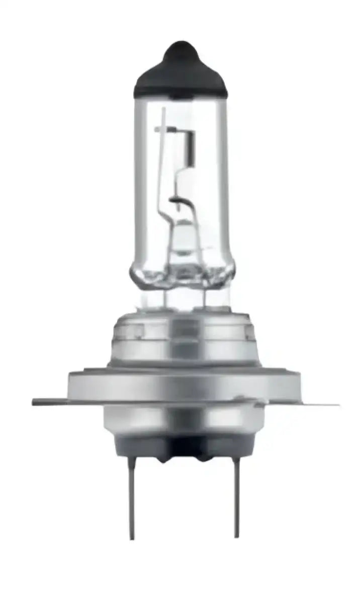 H7P50 Headlight Bulb