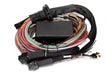 Haltech HT-141304