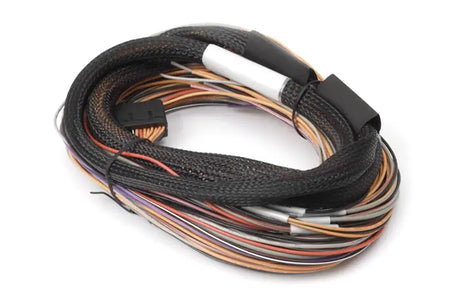 Haltech IO 12 Expander Box 8ft Flying Lead Harness (A/B Box) - Truck & Automotive