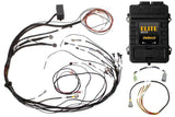 Engine control unit with wiring harness for Mazda 13B from Haltech harness ECU kit