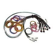 Haltech NEXUS R5 Basic Universal Wire-In Harness - Truck & Automotive