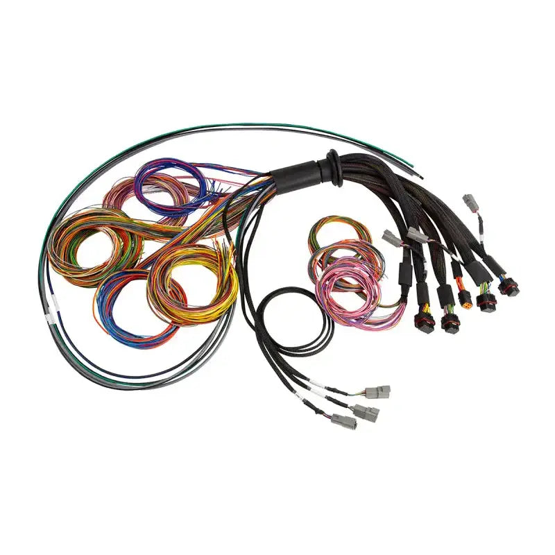 Haltech NEXUS R5 Basic Universal Wire-In Harness - Truck & Automotive