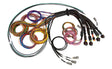 Haltech NEXUS R5 Basic Universal Wire-In Harness - Truck & Automotive