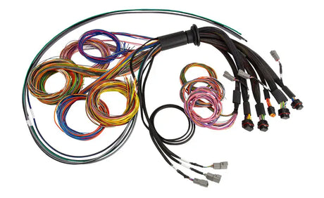 Haltech NEXUS R5 Basic Universal Wire-In Harness - Truck & Automotive