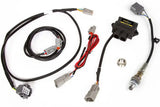 Haltech WB1 Single Channel CAN NTK O2 Wideband Controller Kit - Truck & Automotive