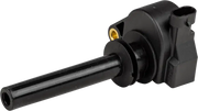 Hd Hp Coil Efi Vrod 02-15
