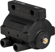 Hd 30V-Hp Dual Fire Coil End Posts Pnts/Elct Ign 65-79