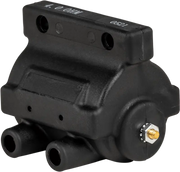Hd 30V-Hp Dual Fire Coil End Posts Elct Ign 80-84