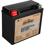 Harddrive AGM Sealed Battery HRDM72RBH - High Perform YTX20H Cca 310