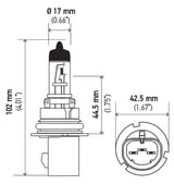 Hella Bulb 9007 12V 65/55W Xen Wht Xb (2) - Lights
