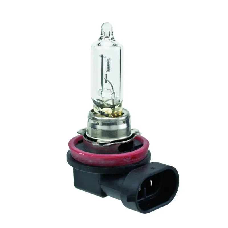 Hella H9 Hella Bulb H9 12V 65W PGJ19-5 T4