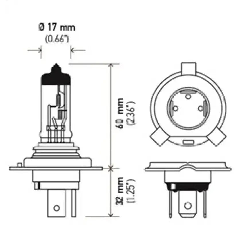 Hella Halogen H4 12V 60/55W Bulb - Powersports