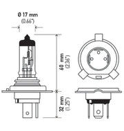 Hella Halogen H4 12V 60/55W Bulb - Powersports