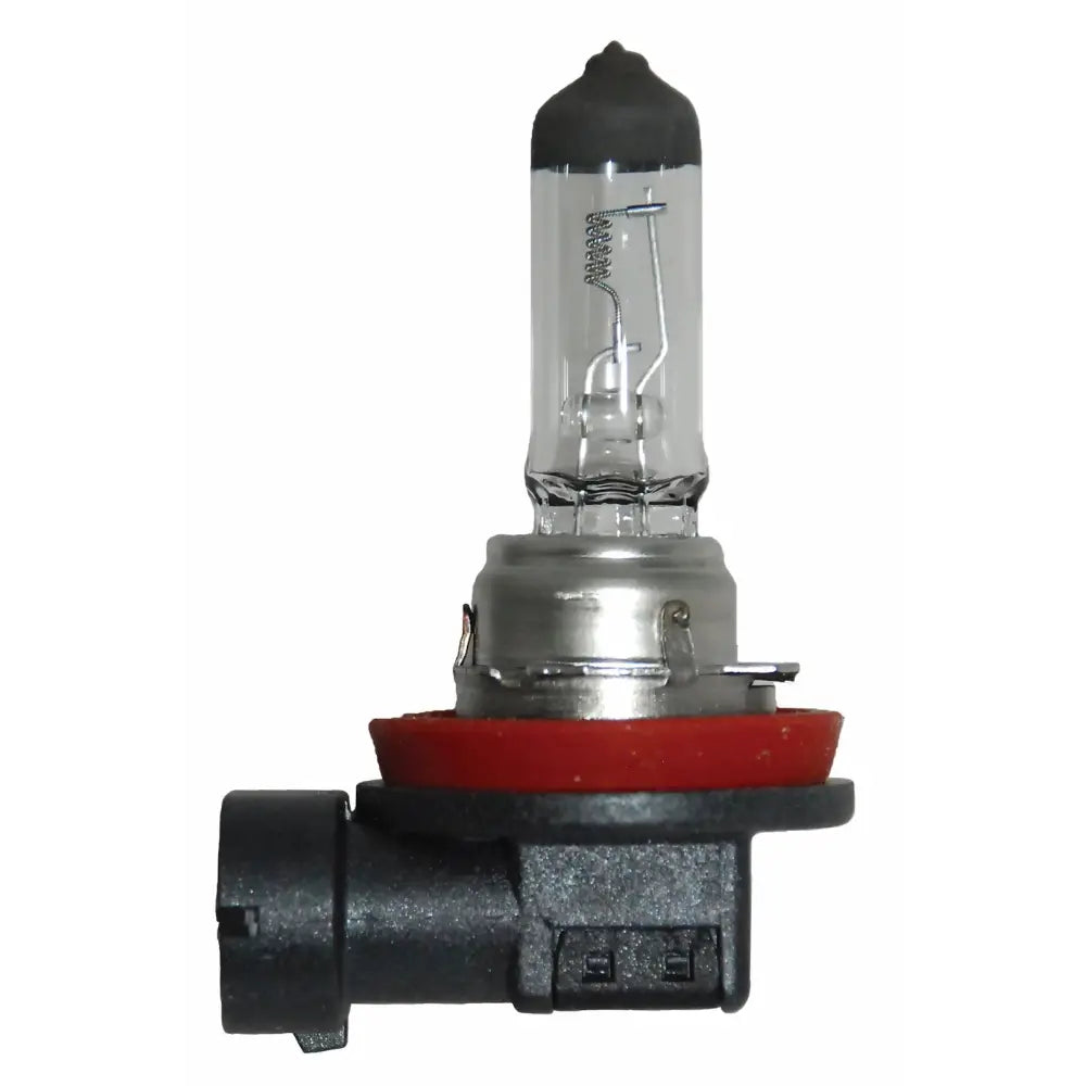 Hella Increased Vibration Resistance Headlight Bulb H11 24V - H11 24V 70W PGJ19-2