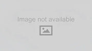 Hella Rallye 4000 H3 12V Fog Lamp - 12560001 - Lights