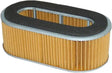 HFA1202 Air Filter 