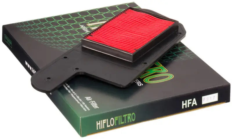 HFA1211 Air Filter 
