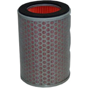HFA1602 Air Filter 