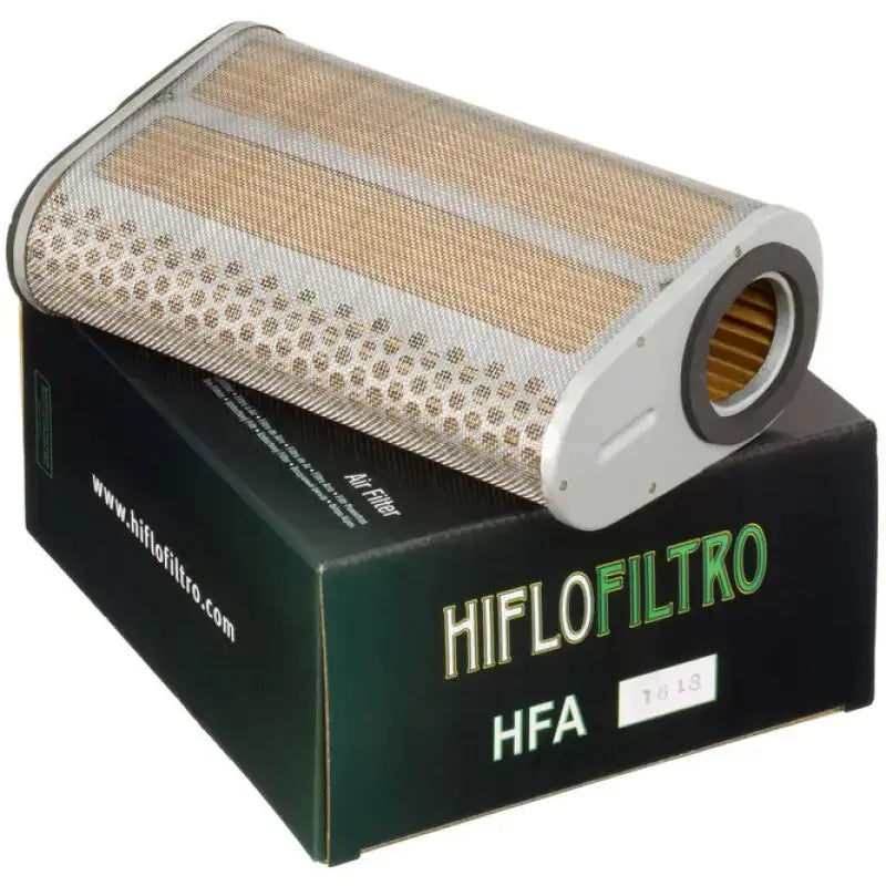 HFA1618 Air Filter 