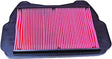 HFA1709 Air Filter 