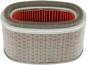 HFA1712 Air Filter 
