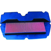HFA1901 Air Filter 