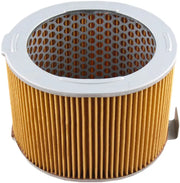 HFA1902 Air Filter 