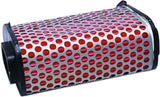 HFA1903 Air Filter 