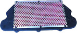 HFA1910 Air Filter 