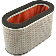 HFA1923 Air Filter 