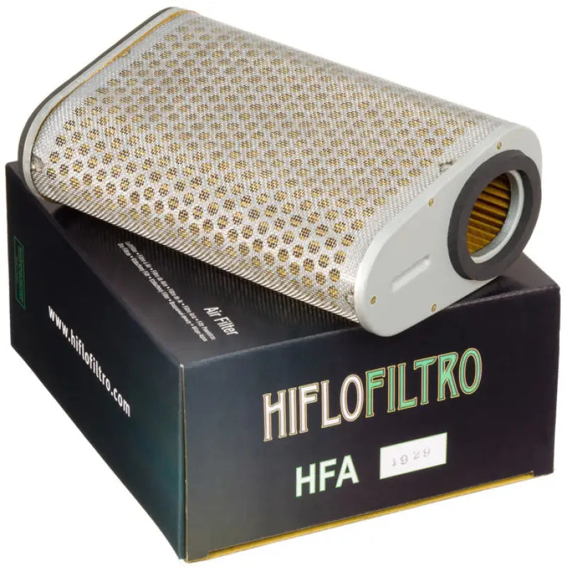 HFA1929 Air Filter 