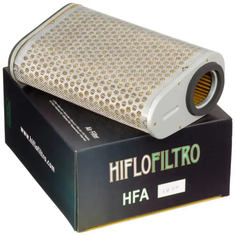 HFA1929 Air Filter 