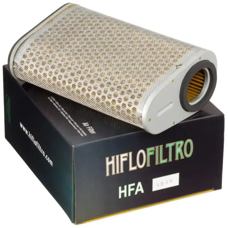 HFA1929 Air Filter 