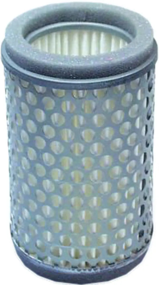 HFA2403 Air Filter 