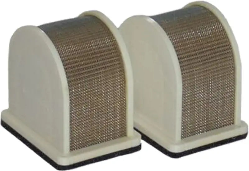 HFA2404 Air Filter 