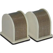 HFA2404 Air Filter 