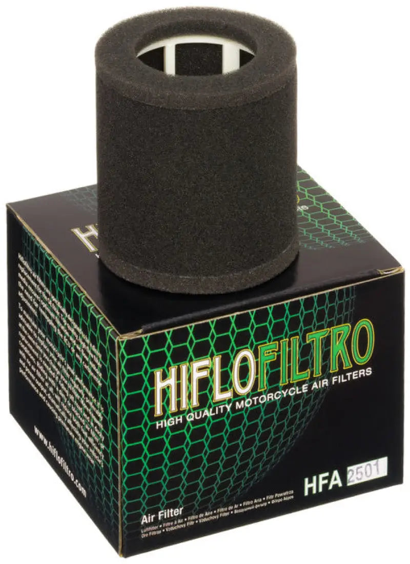 HFA2501 Air Filter