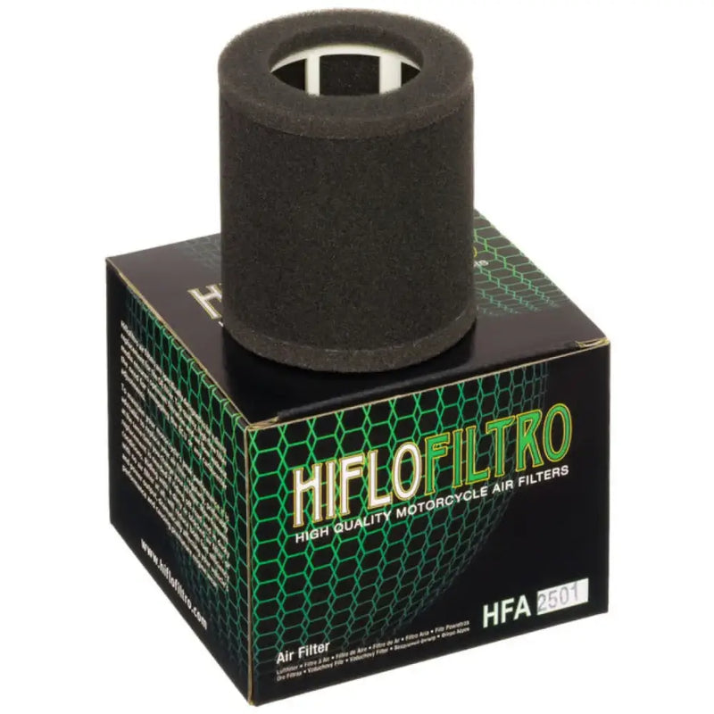 HFA2501 Air Filter
