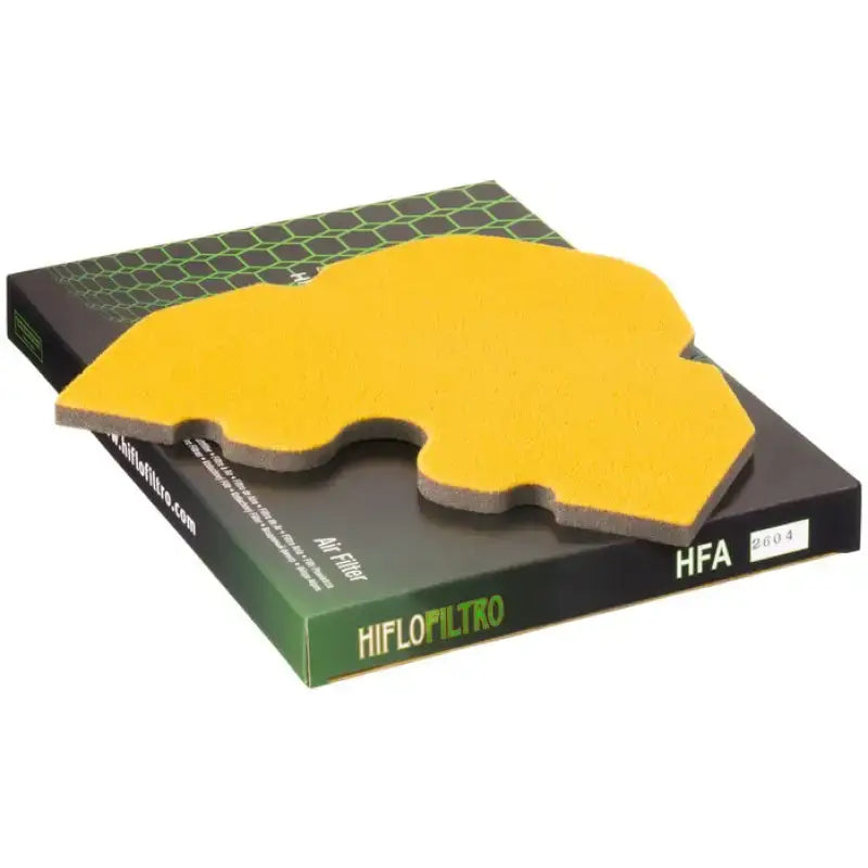 HFA2604 Air Filter 