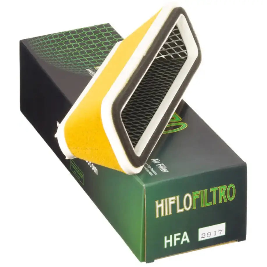 HFA2917 Air Filter 