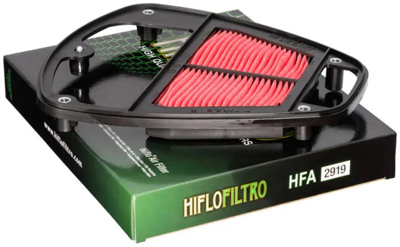 HFA2919 Air Filter 